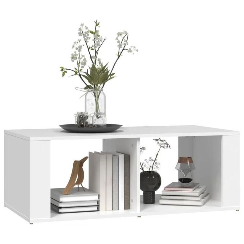 Mesa de Centro Minimalista con Espacios de Almacenamiento-3