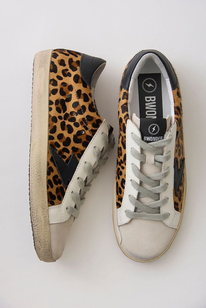 Leopard Black Ray-0