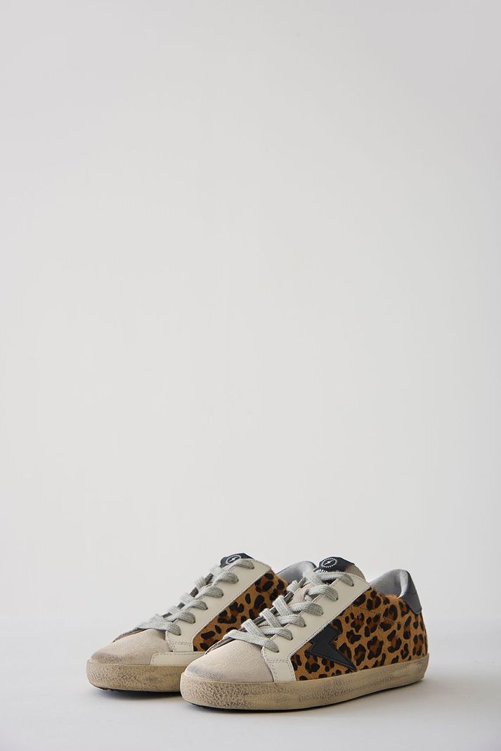 Leopard Black Ray-1