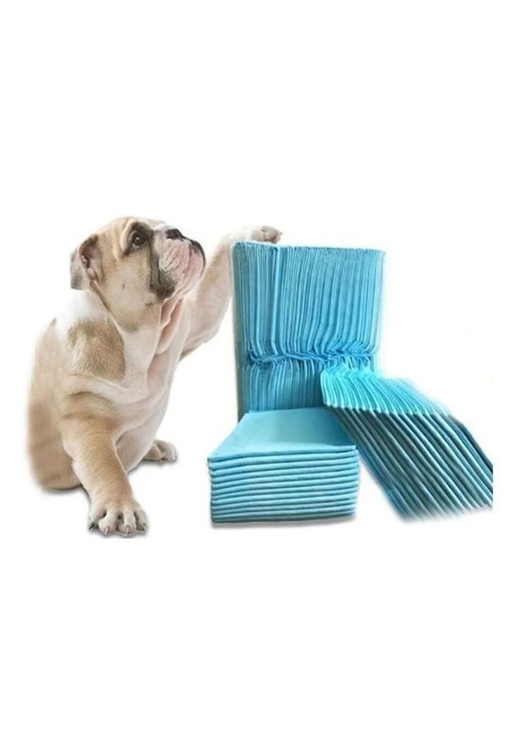 Pack 100 Panales Tipo Sabanillas Mascotas Perros 60x60 Celeste