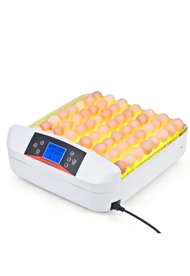 Incubadora 56 Huevos Volteo Automatico Doble Voltaje-0
