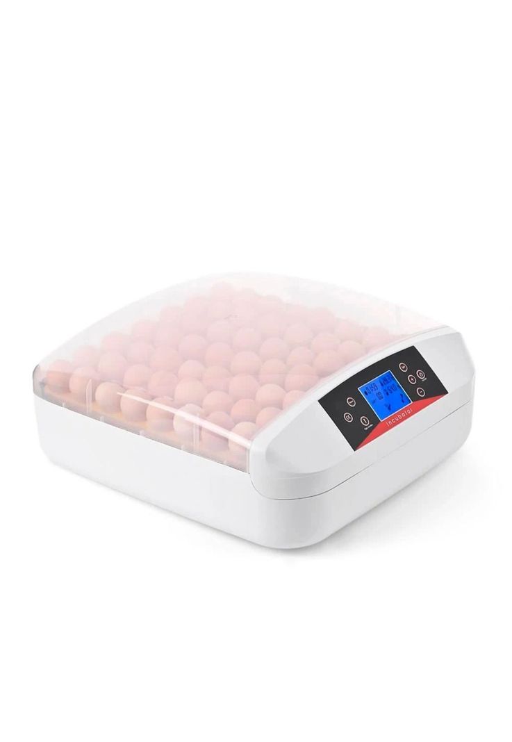 Incubadora 56 Huevos Volteo Automatico Doble Voltaje-1