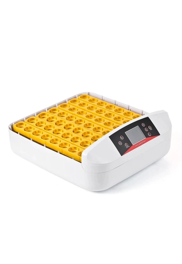 Incubadora 56 Huevos Volteo Automatico Doble Voltaje-4
