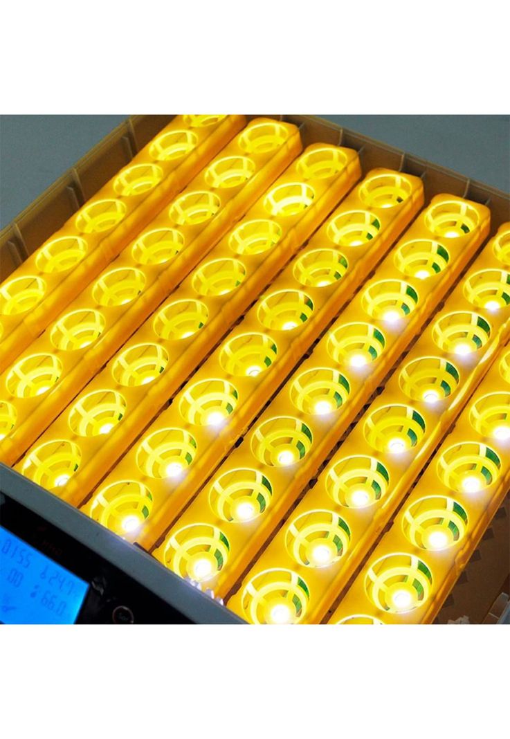 Incubadora 56 Huevos Volteo Automatico Doble Voltaje-7