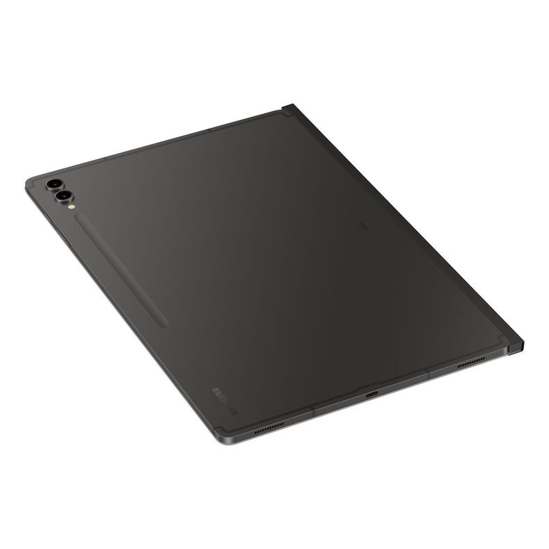 Accesorio Galaxy Tab S9 Ultra Privacy Screen-5
