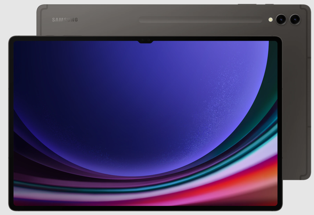 Galaxy TAB S9 ULTRA Gris Samsung 2024-0