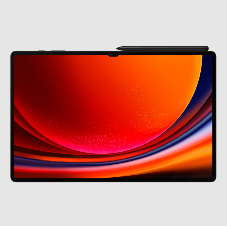 Samsung Galaxy TAB S9 Gris-0