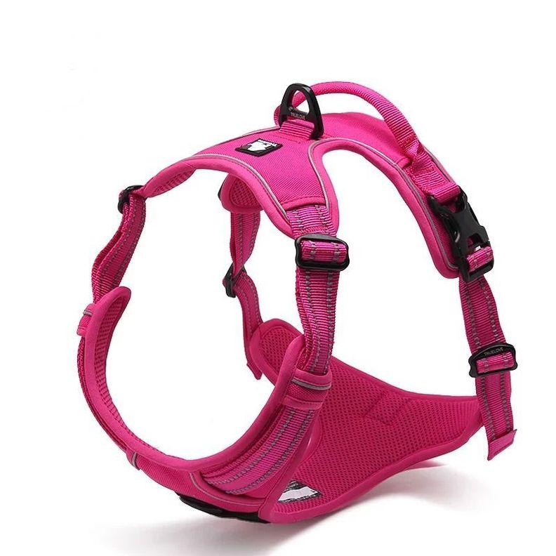 Truelove Arnés No-Pull Outdoor Fucsia XL-0