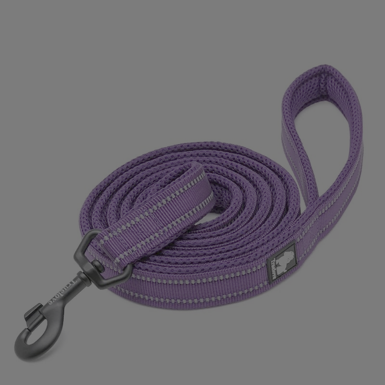 Truelove Correa Reflectante Purple L-0