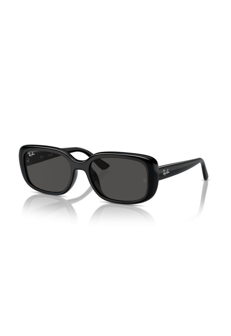 Lentes de Sol Negro Ray-Ban RB4421D667787-1