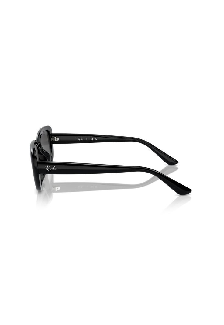Lentes de Sol Negro Ray-Ban RB4421D667787-2