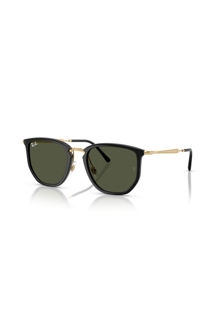 Lentes de Sol Negro Ray-Ban RB4451630631-1