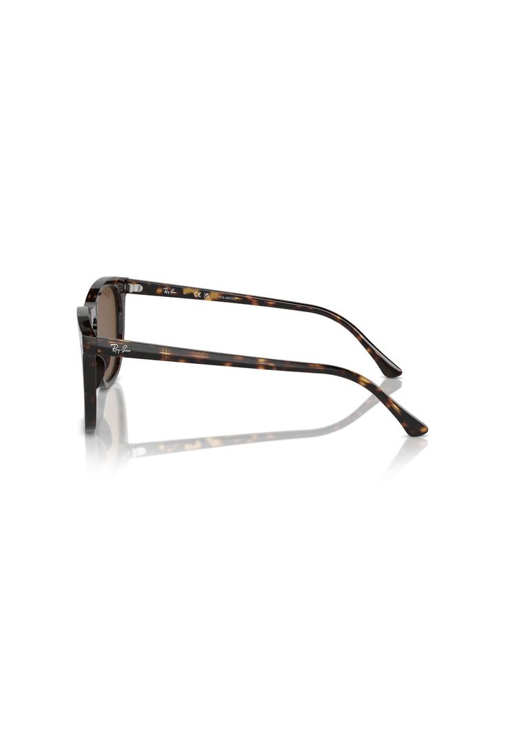 Lentes de Sol Havana Polarizados Ray-Ban RB221090257-2