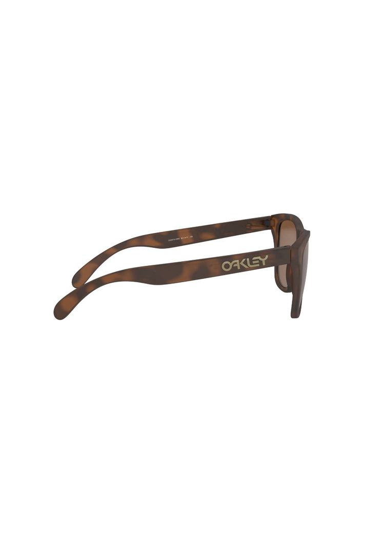 Lentes de Sol Frogskins Prizm Tungsten Oakley-9