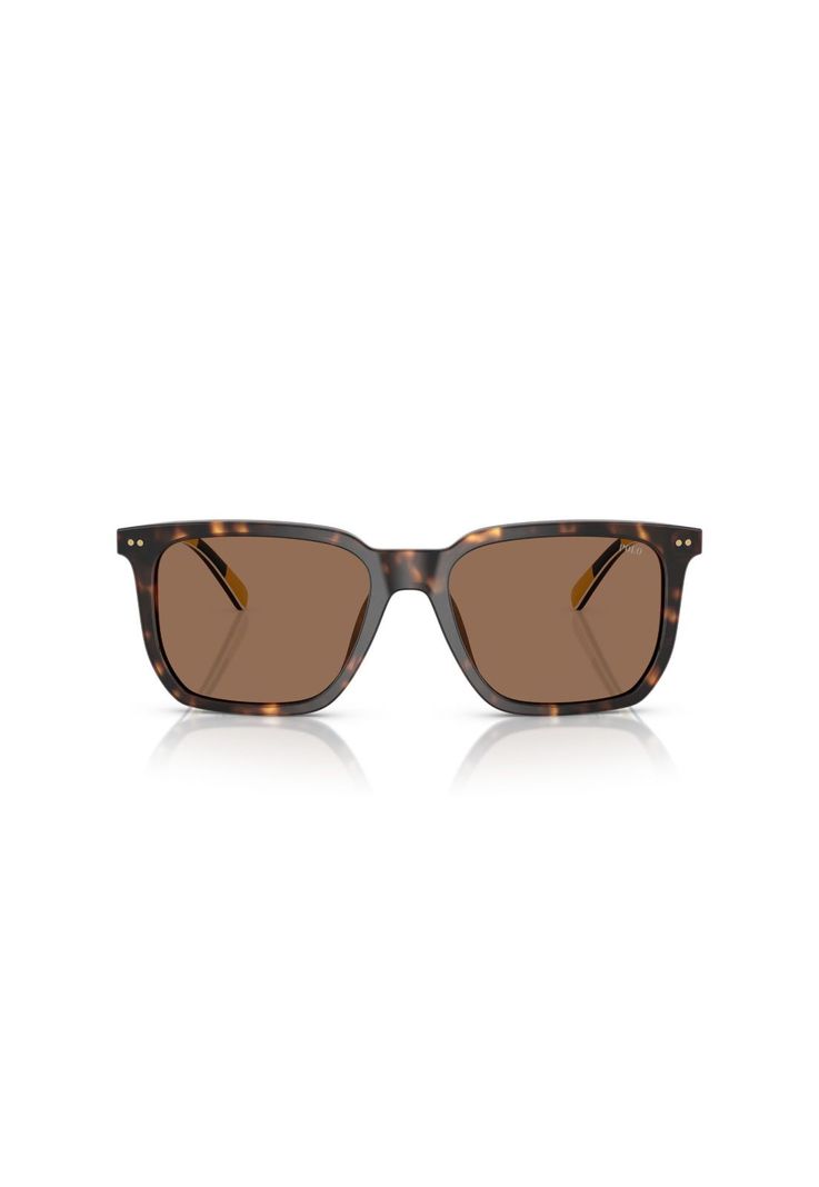 Lentes de Sol Havana Polo Ralph Lauren PH4224U500373-0