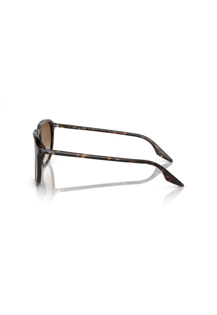 Lentes de Sol Havana Ray-Ban RB220390251-2