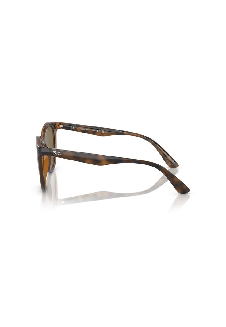Lentes De Sol Dark Havana Ray-Ban RB4383L71073-2