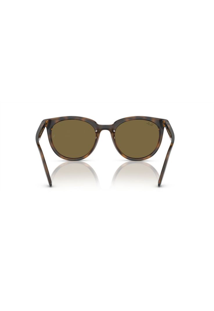 Lentes De Sol Dark Havana Ray-Ban RB4383L71073-3