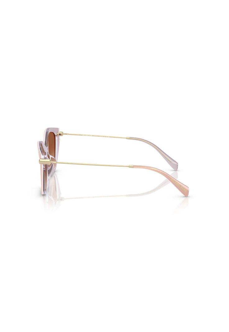 Lentes de Sol Catskills Dorado Michael Kors MK2246U401513-2