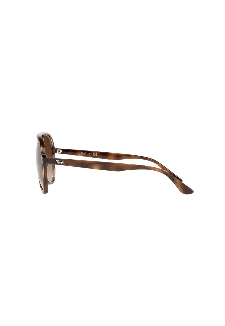 Lentes de Sol Havana Ray-Ban RB437671013-2