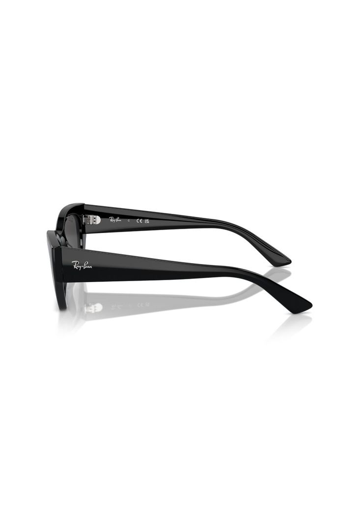 Lentes de Sol Zena Negro Ray-Ban RB4430667787-2