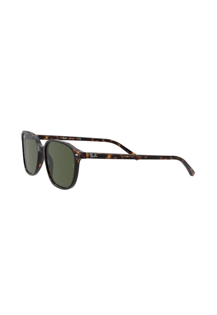 Lentes de Sol Leonard Carey Ray-Ban RB219390231-2