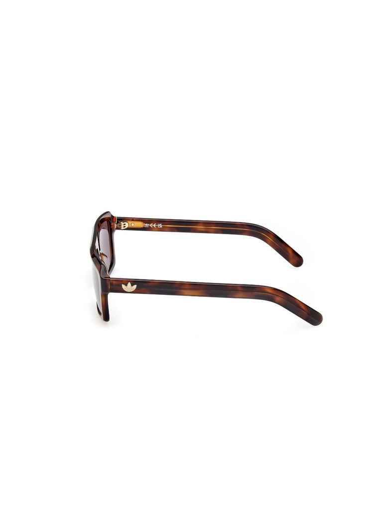 Lentes de Sol Havana Adidas Originals OR013352E-2