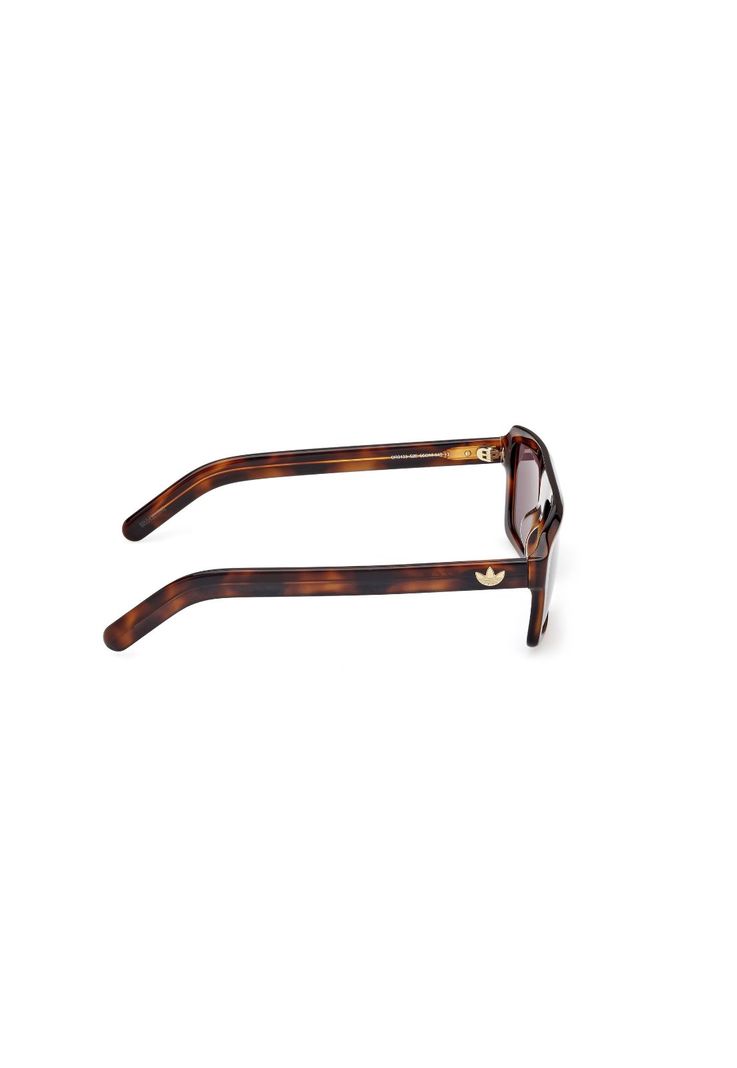 Lentes de Sol Havana Adidas Originals OR013352E-6