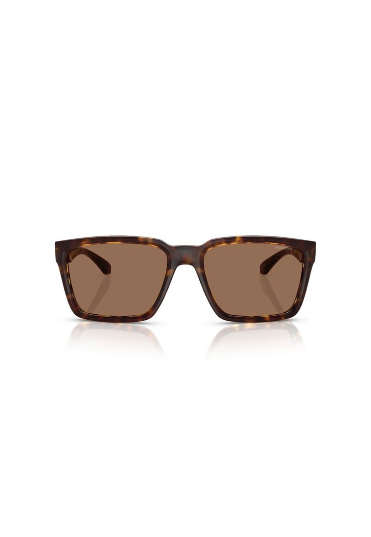 Arnette Lentes de Sol Plot Twist AN4346 277073 57 Cafe M