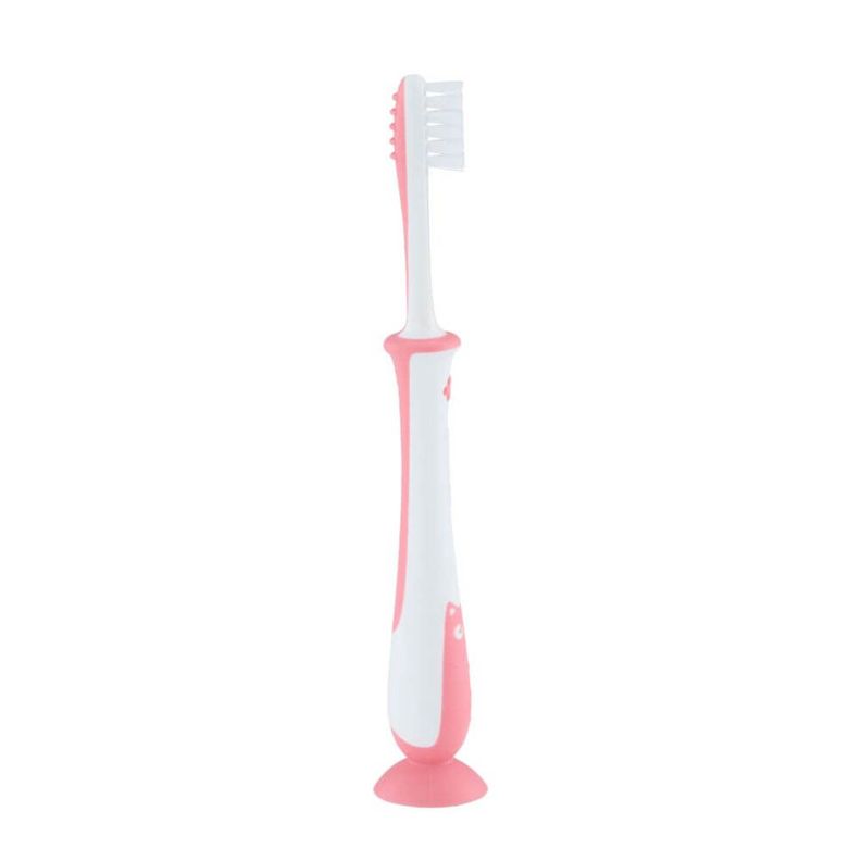 Cepillo Dental aprendizaje etapa-4