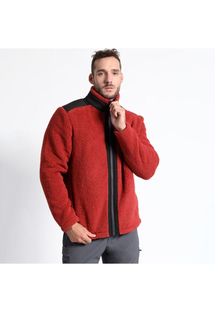Polar Teddy Hombre-2