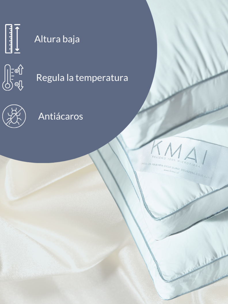 ALMOHADA RELLENA DE SEDA 50x70 CM-2