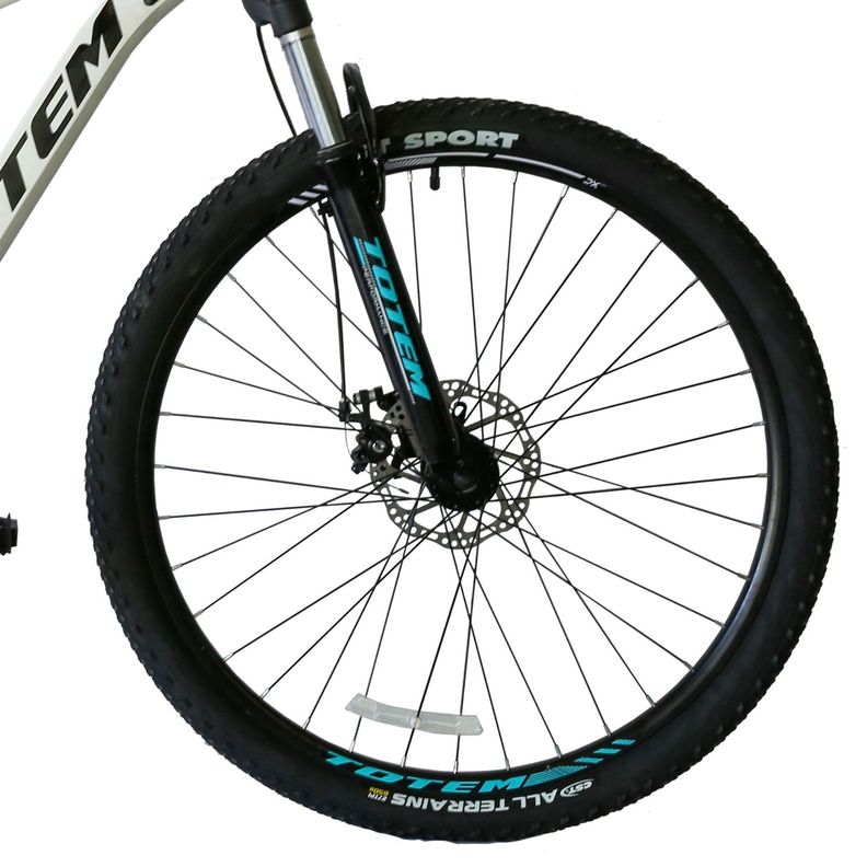 BICICLETA TOTEM MTB ARO 29x19 MOD W860 COLOR BLANCO-2