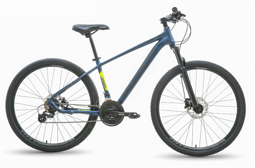 BICICLETA TOTEM MTB ARO 29*16 MODELO MASTER GRIS MATE-0