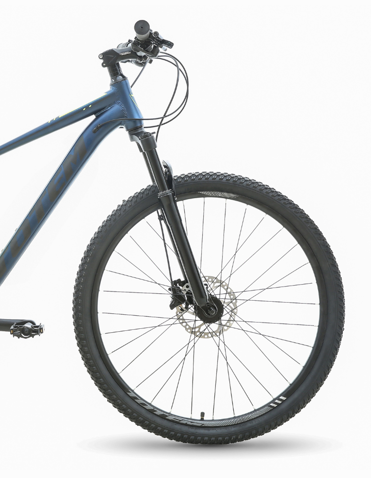 BICICLETA TOTEM MTB ARO 29*16 MODELO MASTER GRIS MATE-3