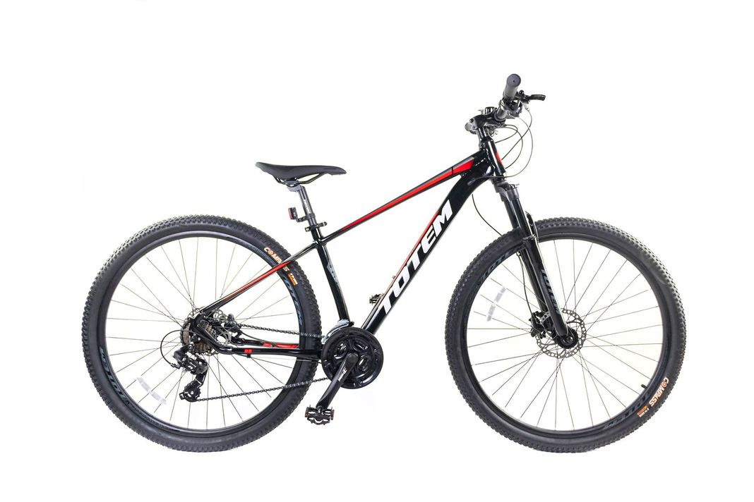 BICICLETA TOTEM MTB ARO 29*16 MODELO MASTER NEGRO-0