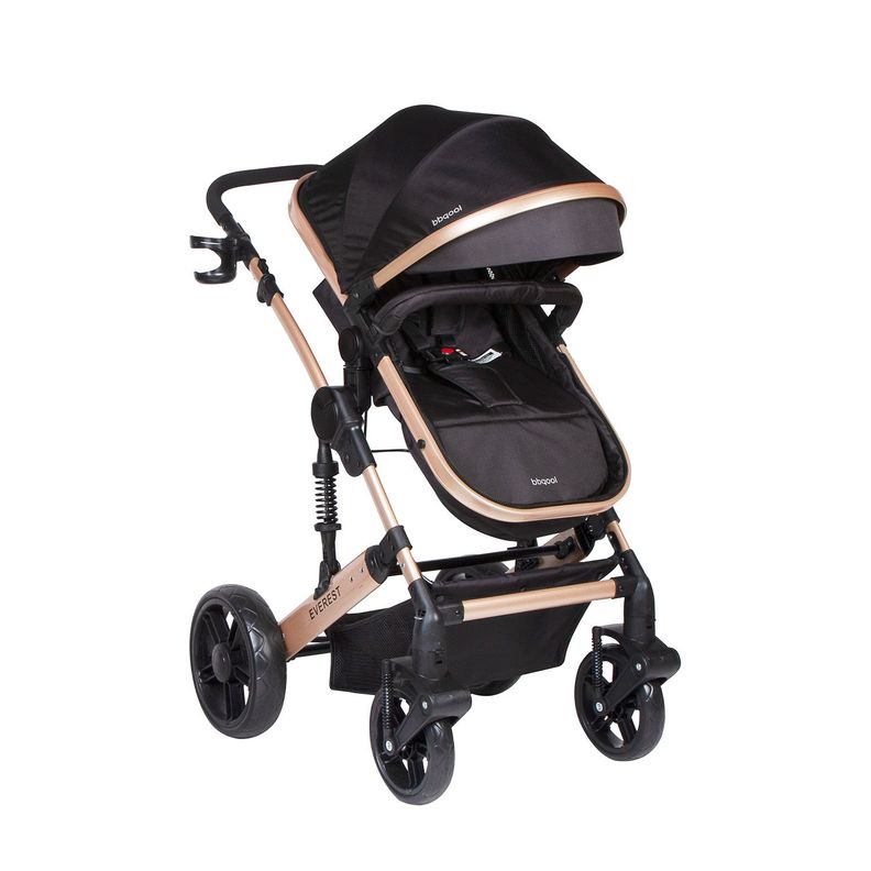 Coche Paseo Everest Black-1