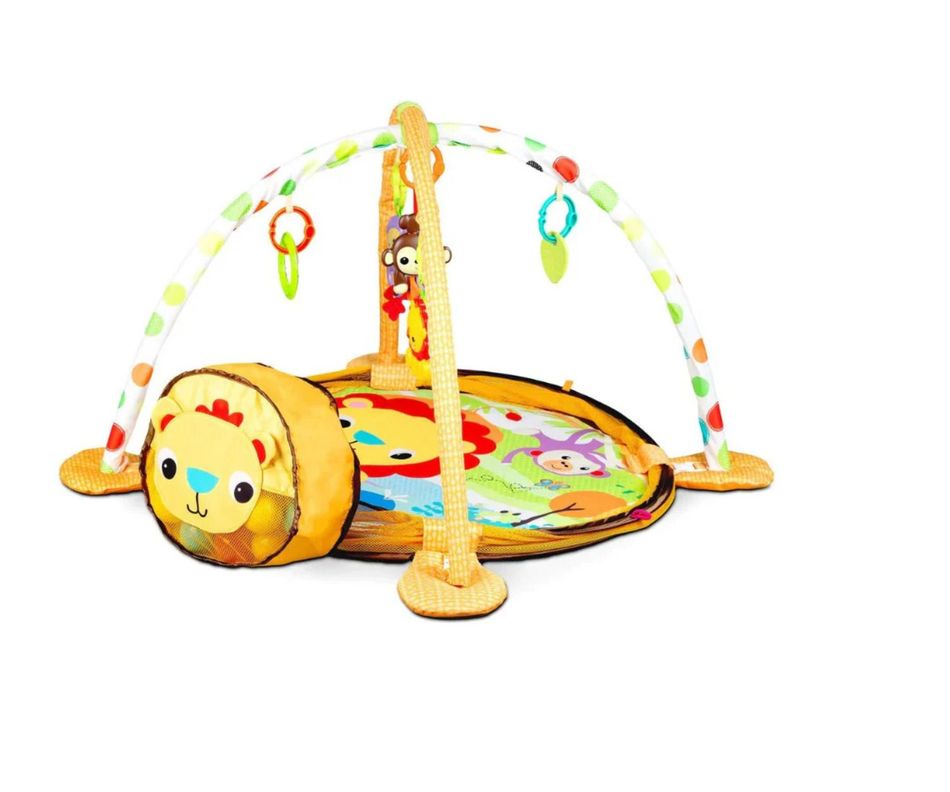 Gimnasio Corral Pelotas Zoo Yellow-1