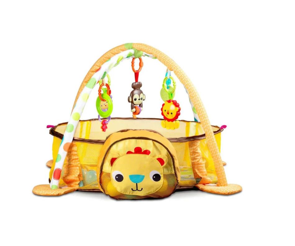 Gimnasio Corral Pelotas Zoo Yellow-2