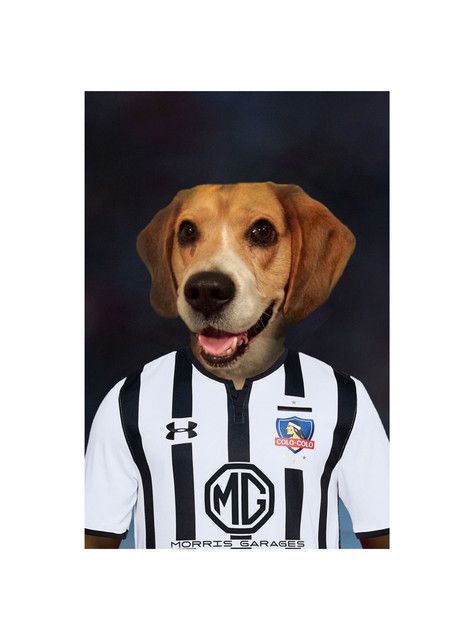 CUADRO DE TU MASCOTA PET PRINT COLO COLO CANVAS - 40X60 CM -0