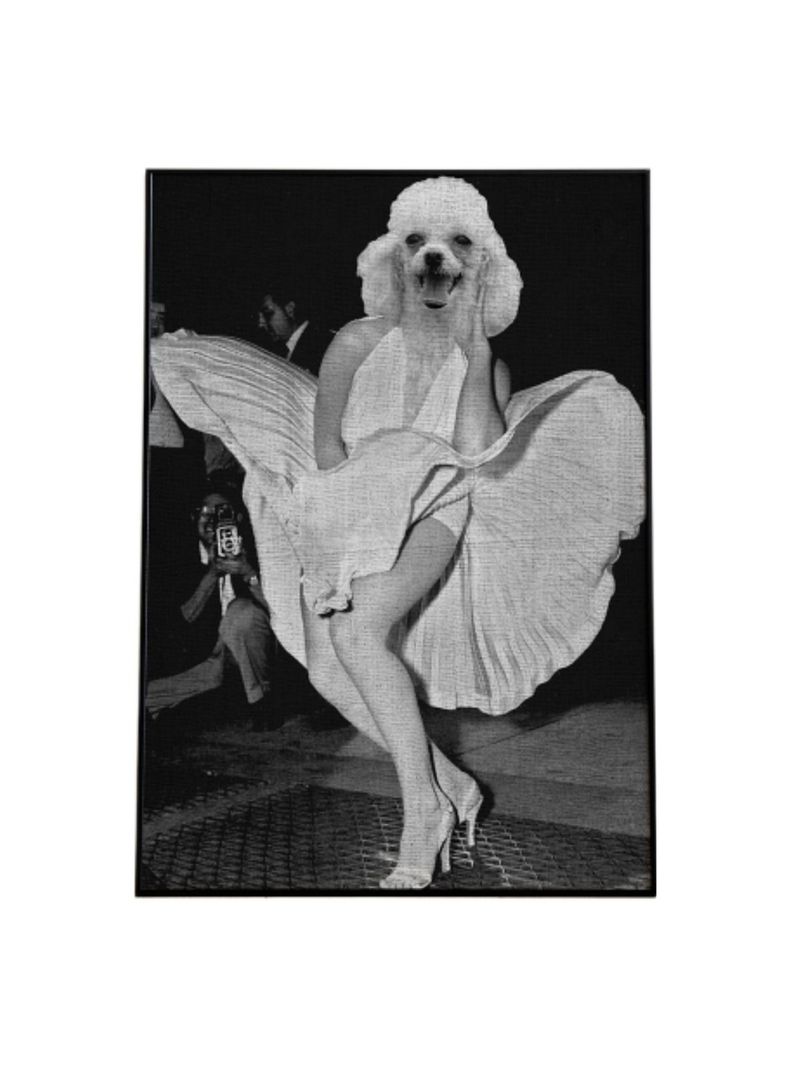 CUADRO DE TU MASCOTA PETPRINT MARILYN MONROE CANVAS - 20X30 CM -1