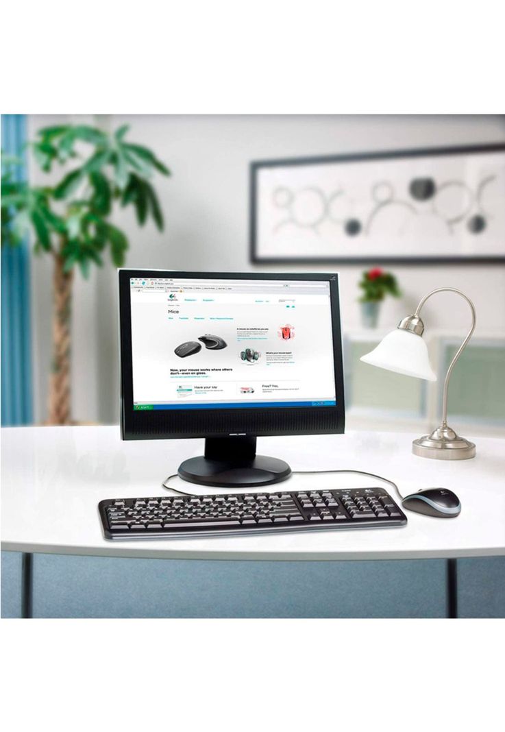 Pack Teclado + Mouse Logitech 120 Desktop-2