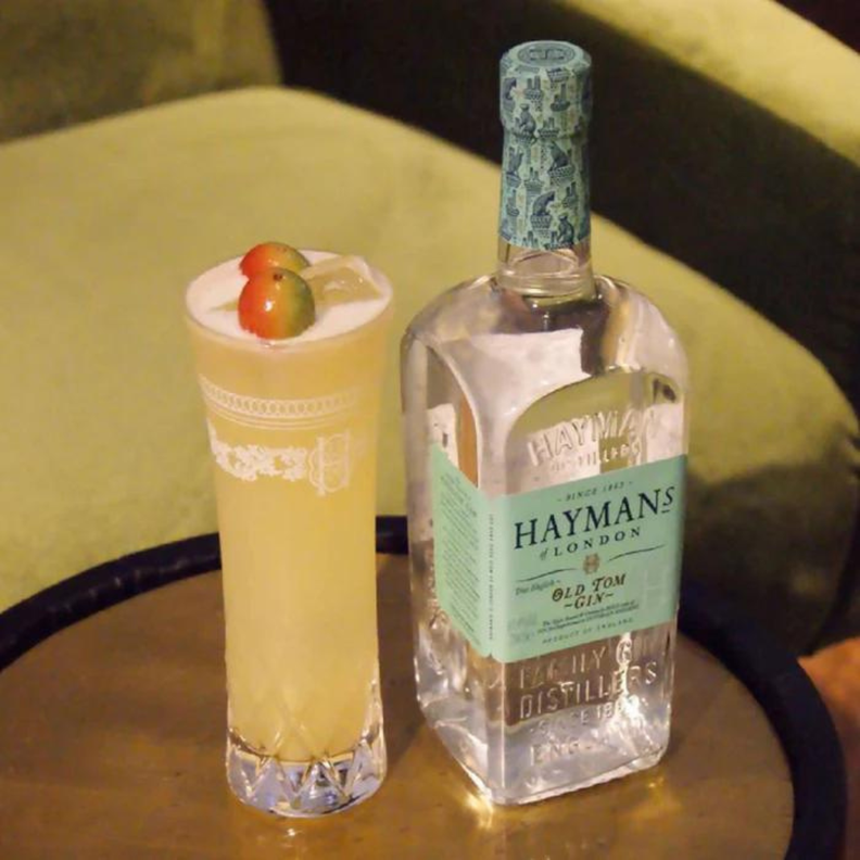 Gin Haymans Old Tom 700ml-2