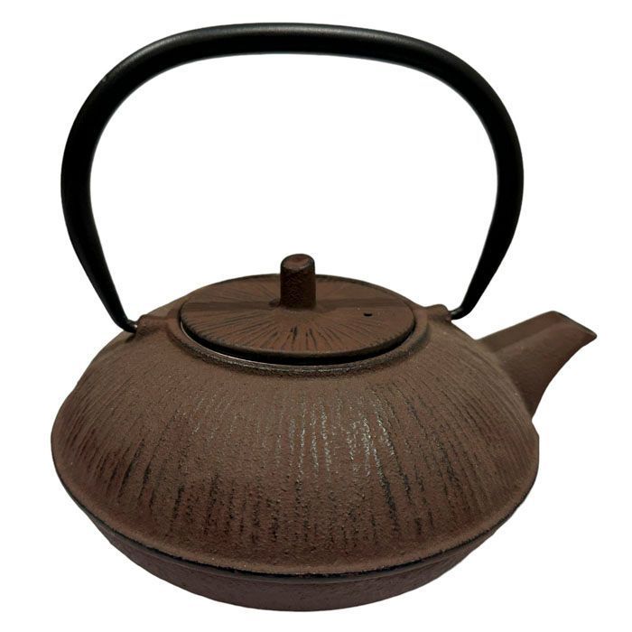 Tetera de hierro fundido con infusor-0