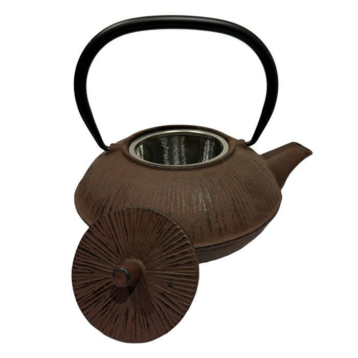 Tetera de hierro fundido con infusor-2