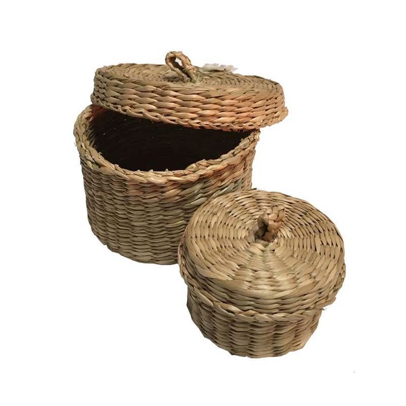 Canastos para Organizacion-0