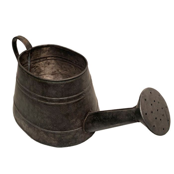Regadera Metal-1