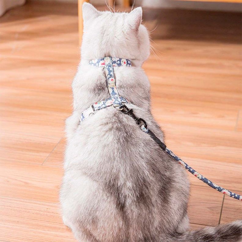 Arnes Ajustable + Correa Mascotas Perros Y Gatos Estampado Azul con flores-5