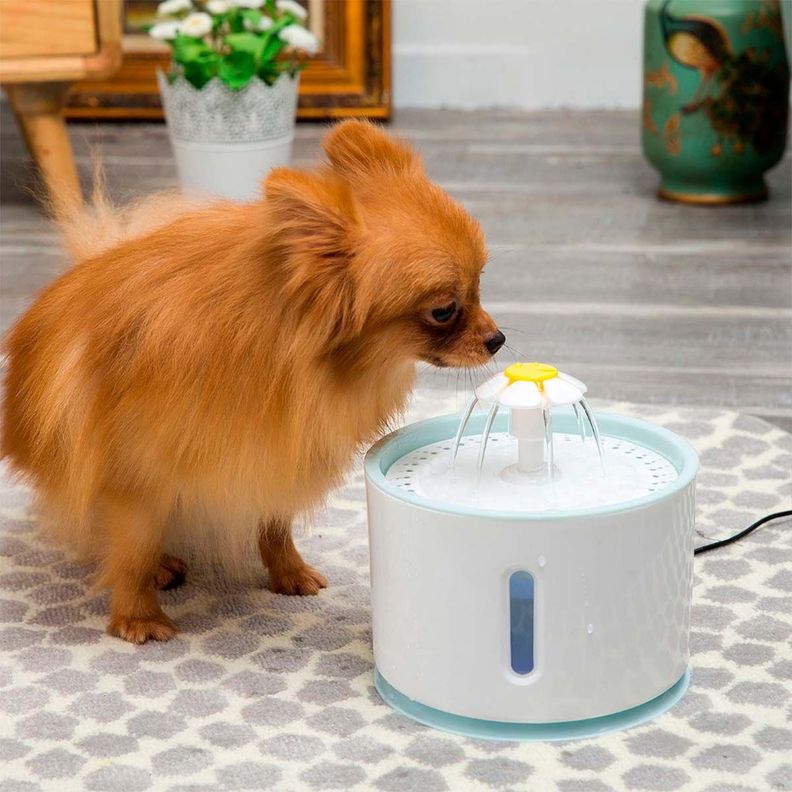 Bebedero Eléctrico Dispensador Agua Para Mascotas De 2.4 Lts-7