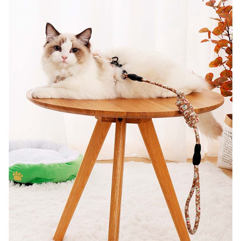 Arnes Ajustable + Correa Mascotas Perros Y Gatos Estampado Cafe con flores-3